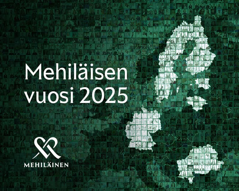 Mehiläisen vuosi 2025 vuosiraportti kuvituskuva.