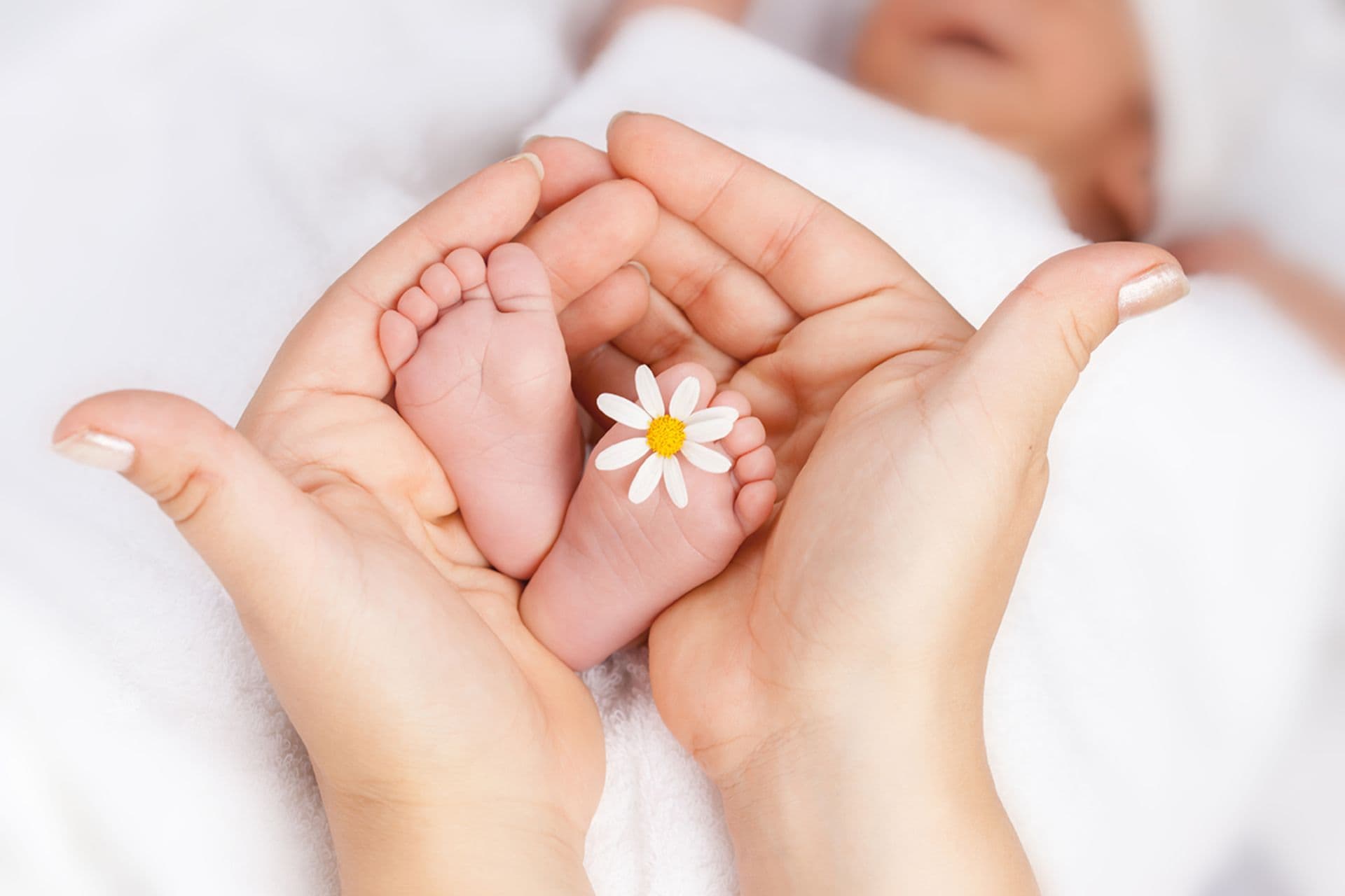 A baby's small feet in an adult's hands, with a white daisy between the toes. The image symbolises new life, hope, and the dream of starting a family.