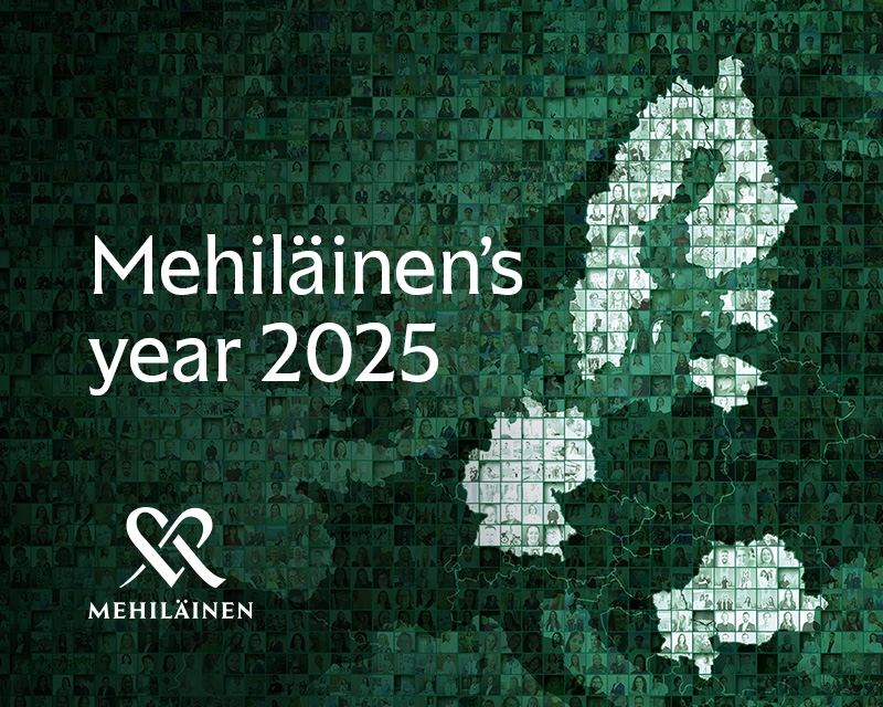 Mehiläinens illustration av årsredovisningen 2025.